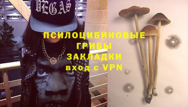 дмт Алексин