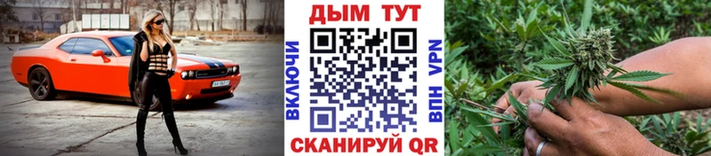 купить  цена  Петровск-Забайкальский  кракен ссылки  Конопля семена 